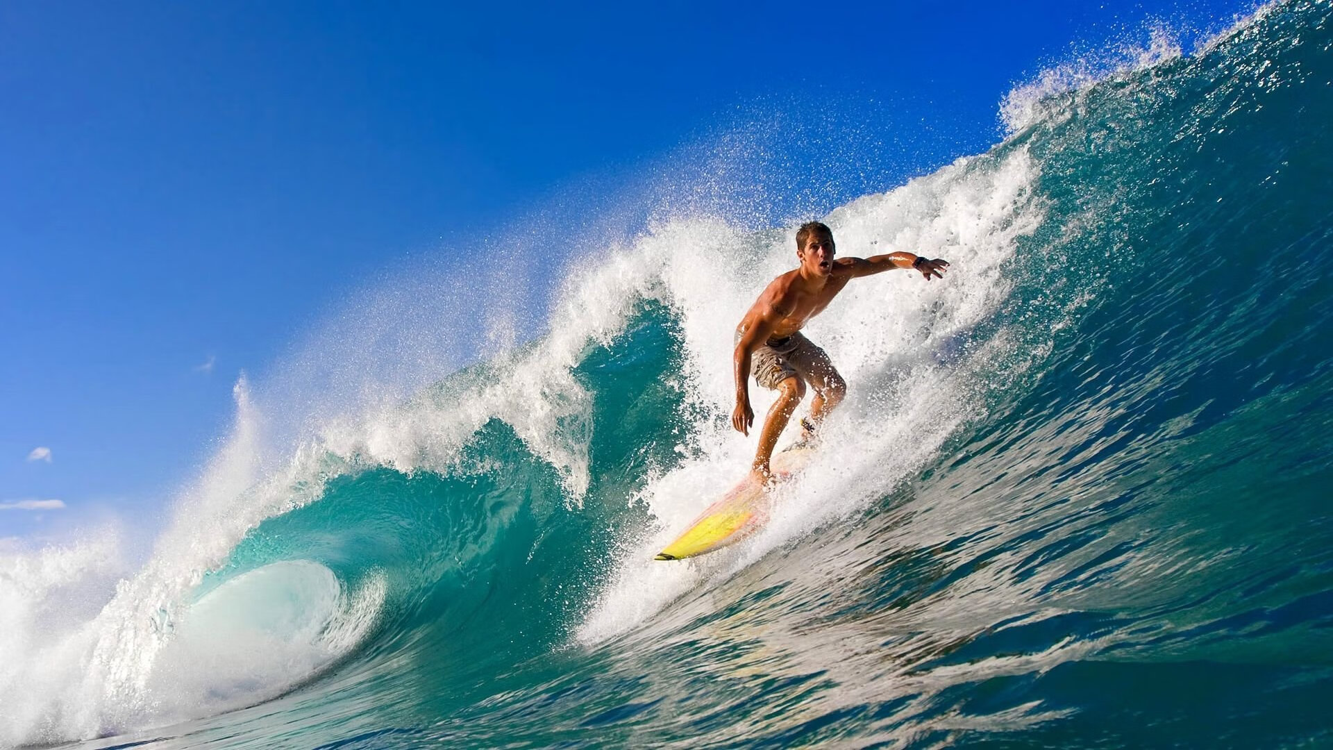 横扫的团队胜利与纪录的个人荣耀，山东队与孙铭徽的双重奏